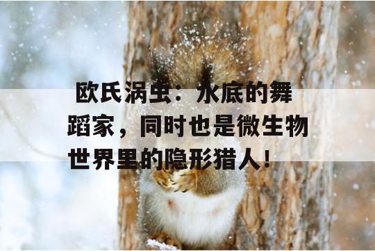  欧氏涡虫：水底的舞蹈家，同时也是微生物世界里的隐形猎人！