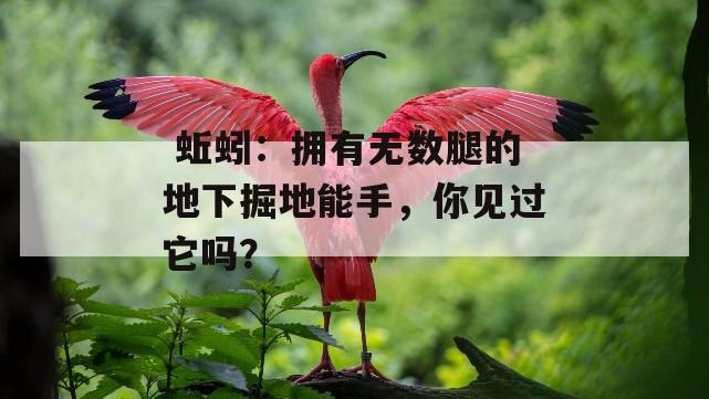  蚯蚓：拥有无数腿的地下掘地能手，你见过它吗？