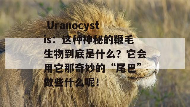  Uranocystis：这种神秘的鞭毛生物到底是什么？它会用它那奇妙的“尾巴”做些什么呢！